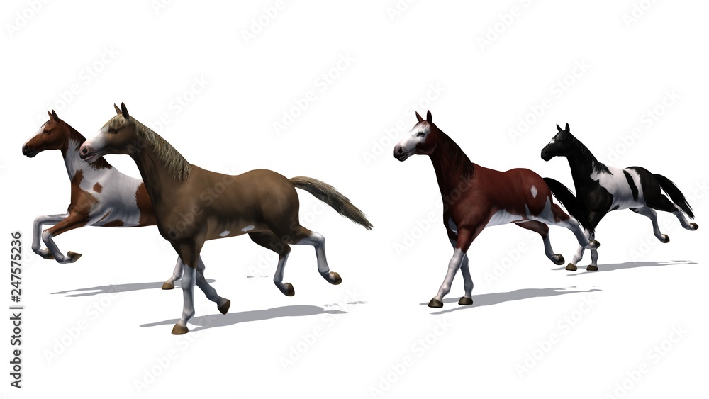 Horses - running herd with shadow on the floor - isolated on white background