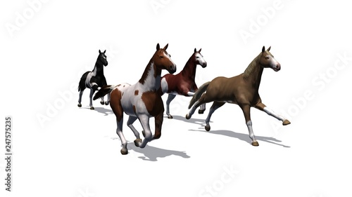 Horses - running herd with shadow on the floor - isolated on white background © sabida