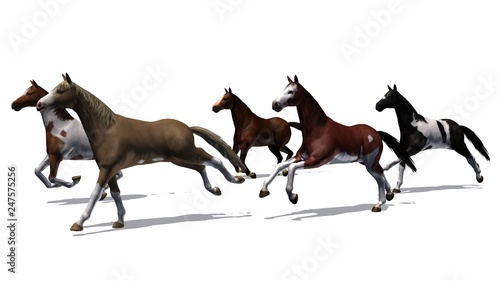 Horses - running herd with shadow on the floor - isolated on white background