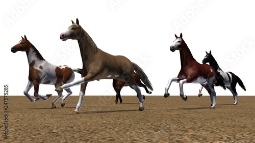 Fototapeta Naklejka Na Ścianę i Meble -  Horses - running herd with shadow on sand area - isolated on white background