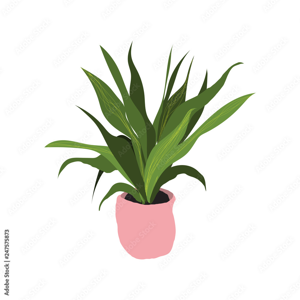 potted houseplant vector illustration. pot plant.