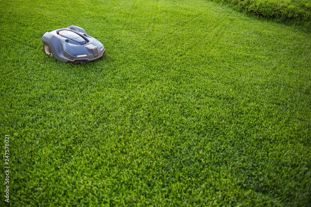 automatic lawn mower robot moves on the grass, lawn. side view from above, copy space - obrazy, fototapety, plakaty 