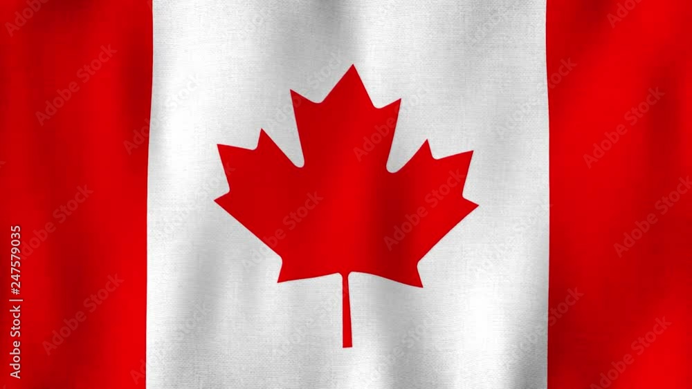 Canada flag waving in the wind. Closeup in 4k of realistic Canadian flag with highly detailed fabric texture Canada flag waving in the wind. Closeup in 4k of realistic Canadian flag with highly detailed fabric texture