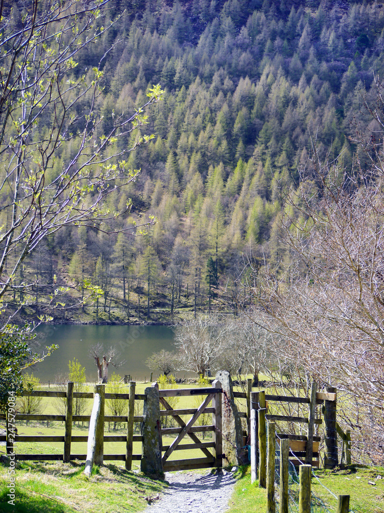 Fototapeta premium Gate to Buttermere, Lake District, Cumbria