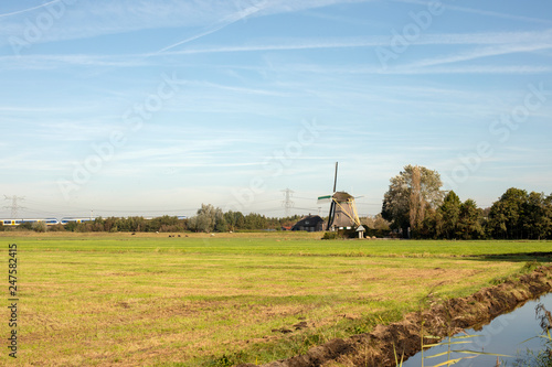 Dutch mill in the countryside in the Netherlands surrounded by pasture, blue sky.