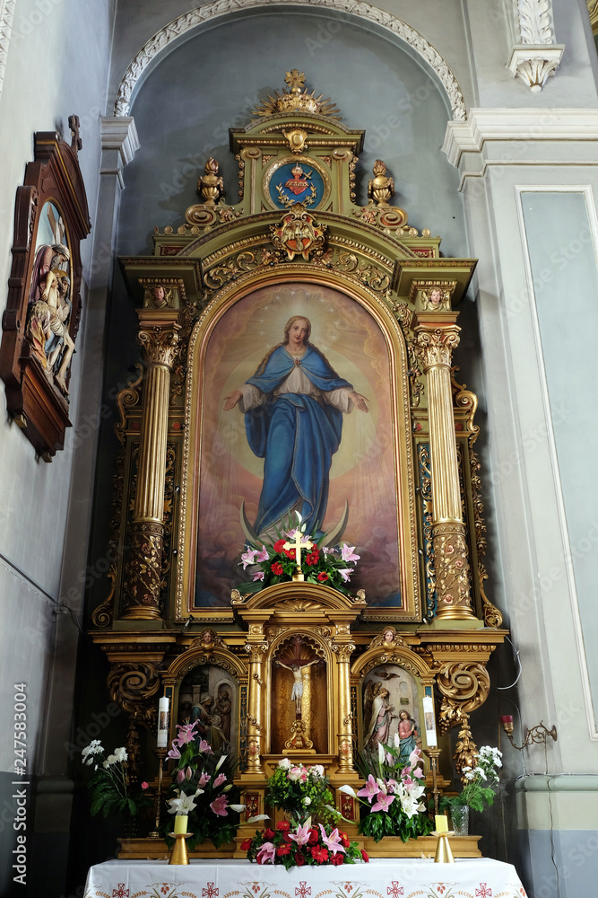 Virgin Mary altar in the Basilica of the Sacred Heart of Jesus in Zagreb, Croatia 
