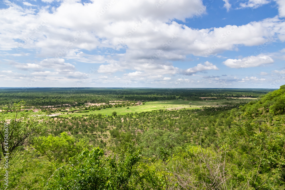 Landscape view over Hwange in Zimbabwe.