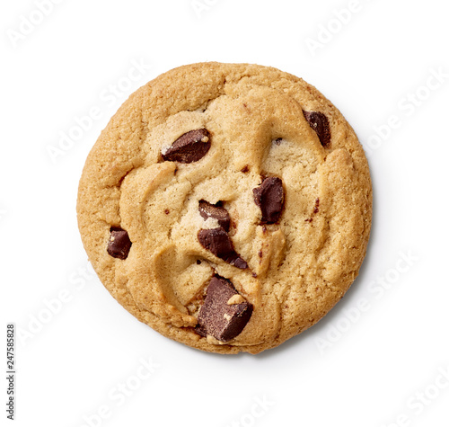 Chocolate chip cookie on a white background with a shadow