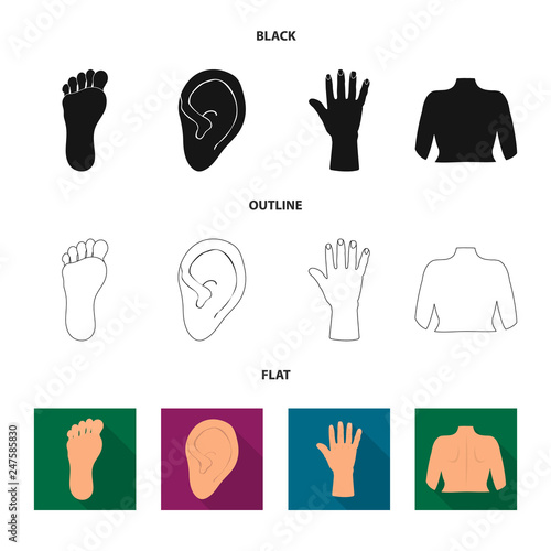 Vector design of body and part sign. Set of body and anatomy vector icon for stock.