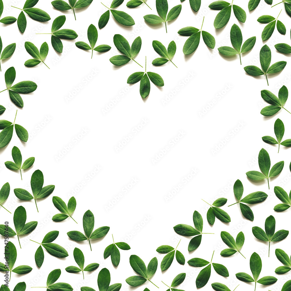 Green Leaves In A Shape Of A Heart