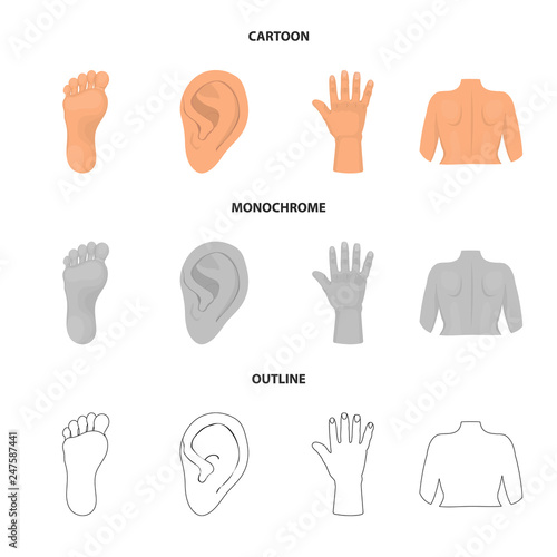 Vector design of body and part symbol. Set of body and anatomy stock symbol for web.