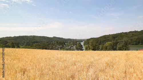 Landscape of oat field and Ostrzyckie lake, Wiezyca, Kashubian Region, Poland. photo