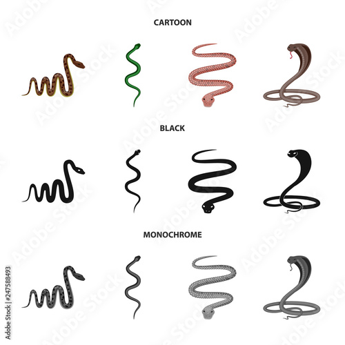 Isolated object of mammal and danger logo. Collection of mammal and medicine vector icon for stock.