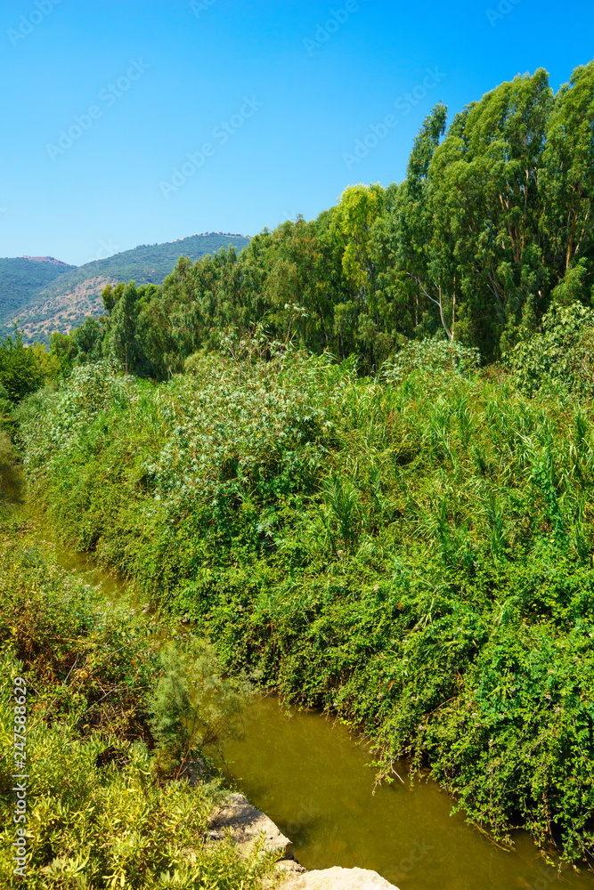 Obraz premium Kishon Park (HaAmakim park)