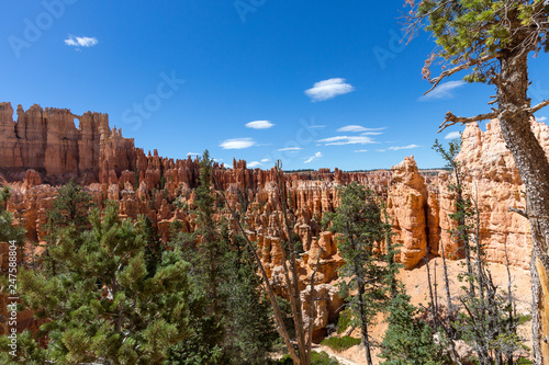 Bryce Canyon Nationalpark, Utah, USA