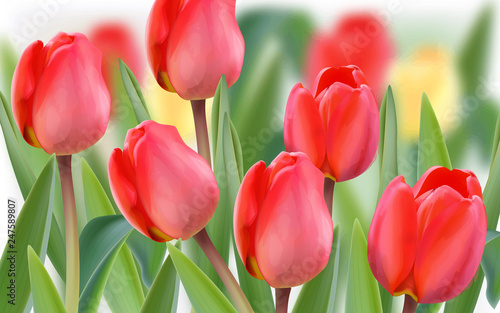 Spring tulip flowers field Vector realistic banner templates. Season backgrounds