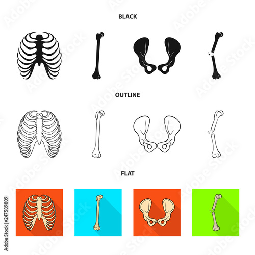 Vector design of medicine and clinic icon. Set of medicine and medical vector icon for stock.