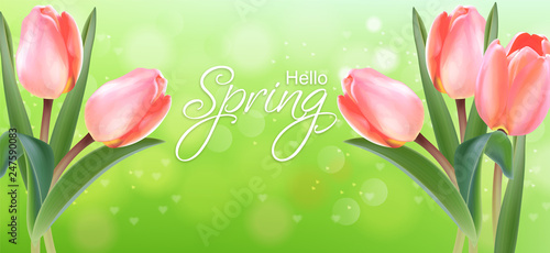 Tulip flowers delicate bouquet Vector realistic. Spring summer season card il...