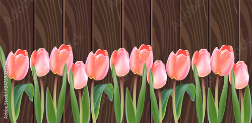 White tulip flowers Vector realistic banner. Spring season template 3d illust...
