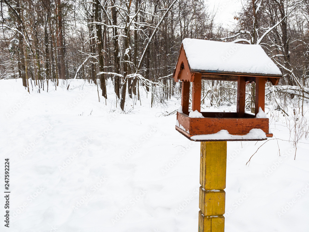 wooden bird feeder on pole in city park in winter wooden bird feeder on pole in city park in winter