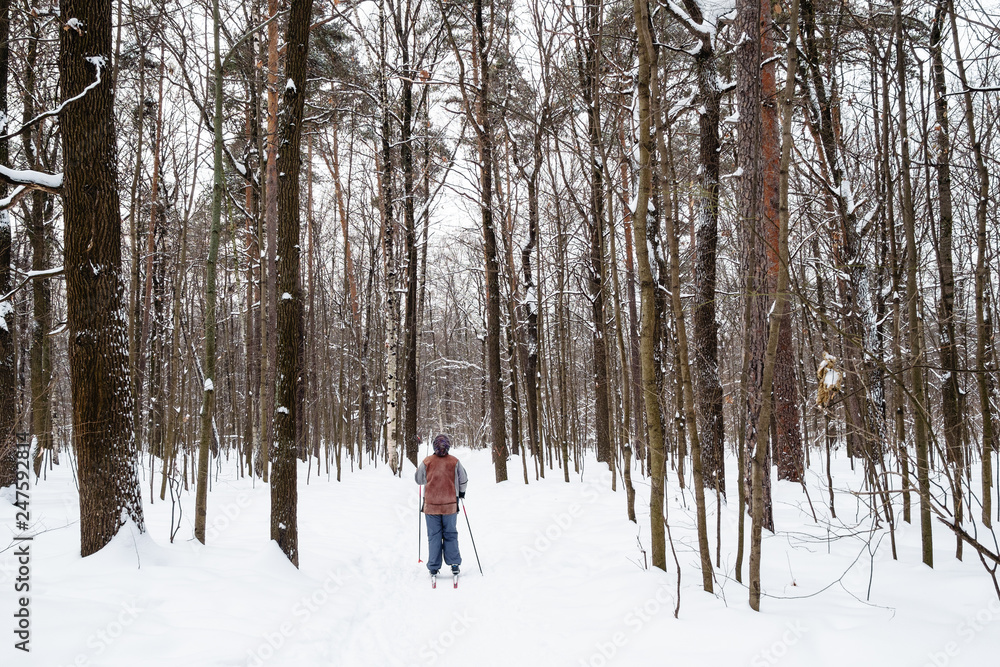 skier on path in pine grove in city park in winter