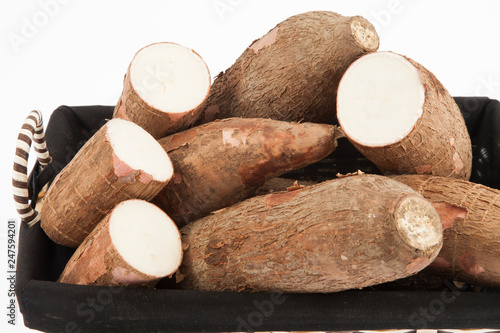 Raw yucca on white background-Manihot esculenta.  Cassava raw tuber 