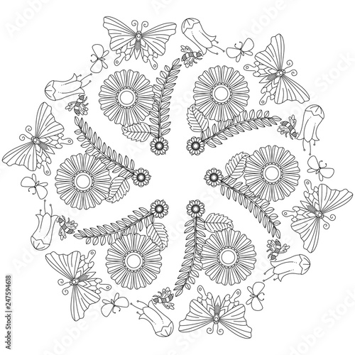 Circle ornament floral, leaf and butterfly pattern for coloring book with abstract figures. Butterfly and flower clean design decorative ornament.