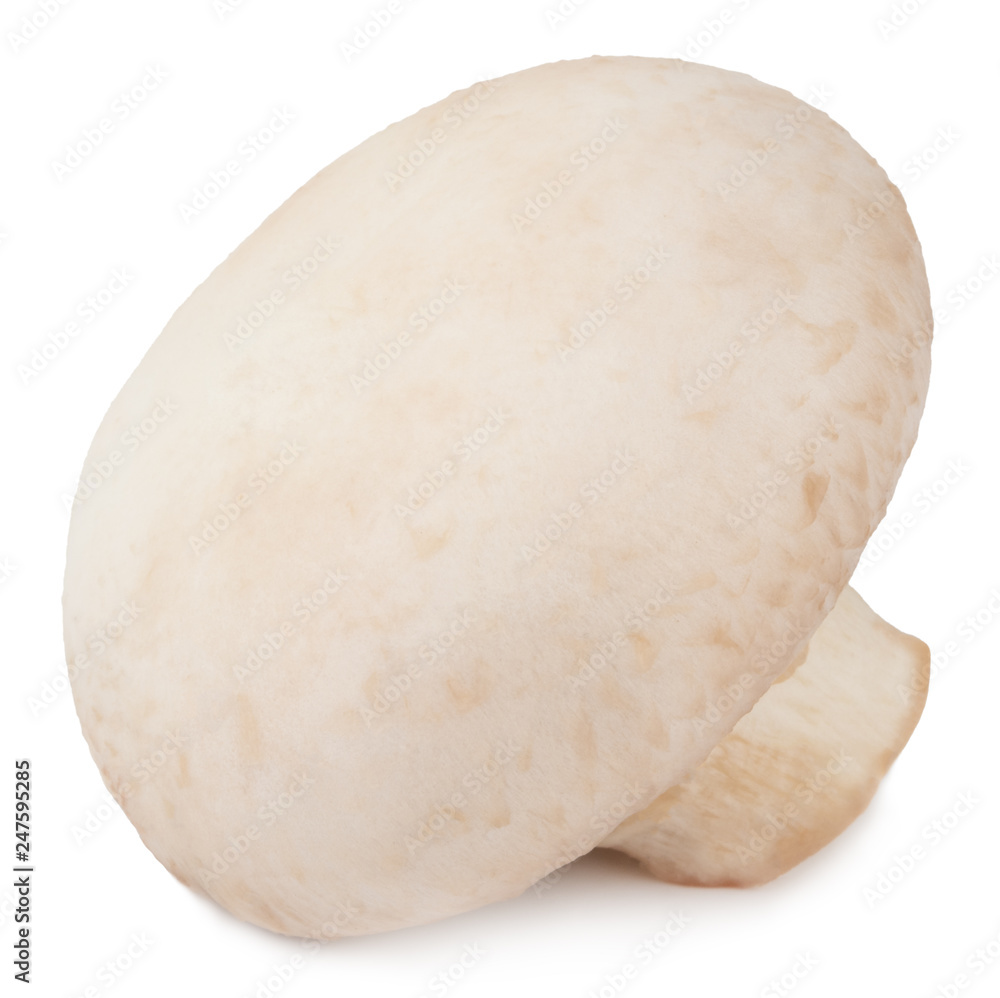 champignon mushrooms isolated on white background, with clipping path champignon mushrooms isolated on white background, with clipping path