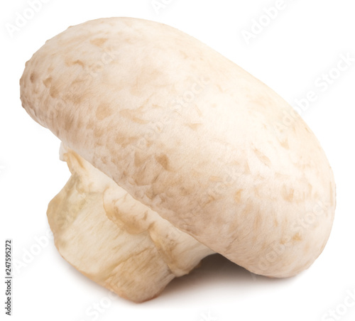  champignon mushrooms isolated on white background, with clipping path