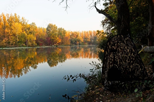 Water arm in Danubian wetland, Malinovo, Slovakia, Europe photo