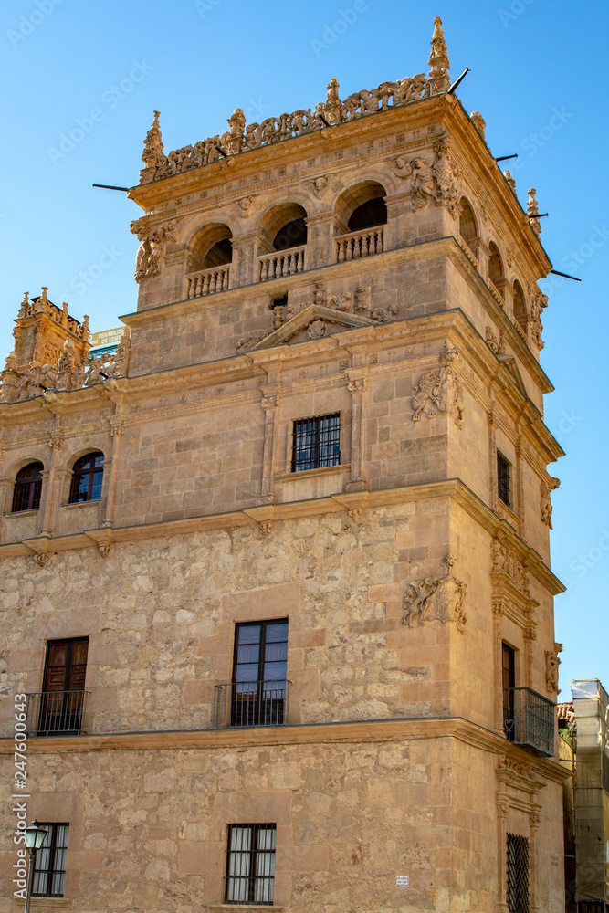 tower of the Palace of Monterrey in Salamanca