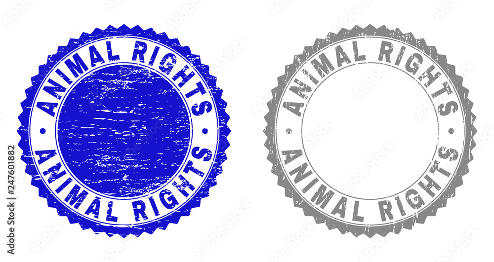 Grunge ANIMAL RIGHTS stamp seals isolated on a white background. Rosette seals with grunge texture in blue and grey colors. Vector rubber imitation of ANIMAL RIGHTS caption inside round rosette. Grunge ANIMAL RIGHTS stamp seals isolated on a white background. Rosette seals with grunge texture in blue and grey colors. Vector rubber imitation of ANIMAL RIGHTS caption inside round rosette.