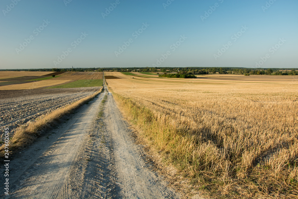 A very long dirt road through cut and plowed fields, horizon and sky