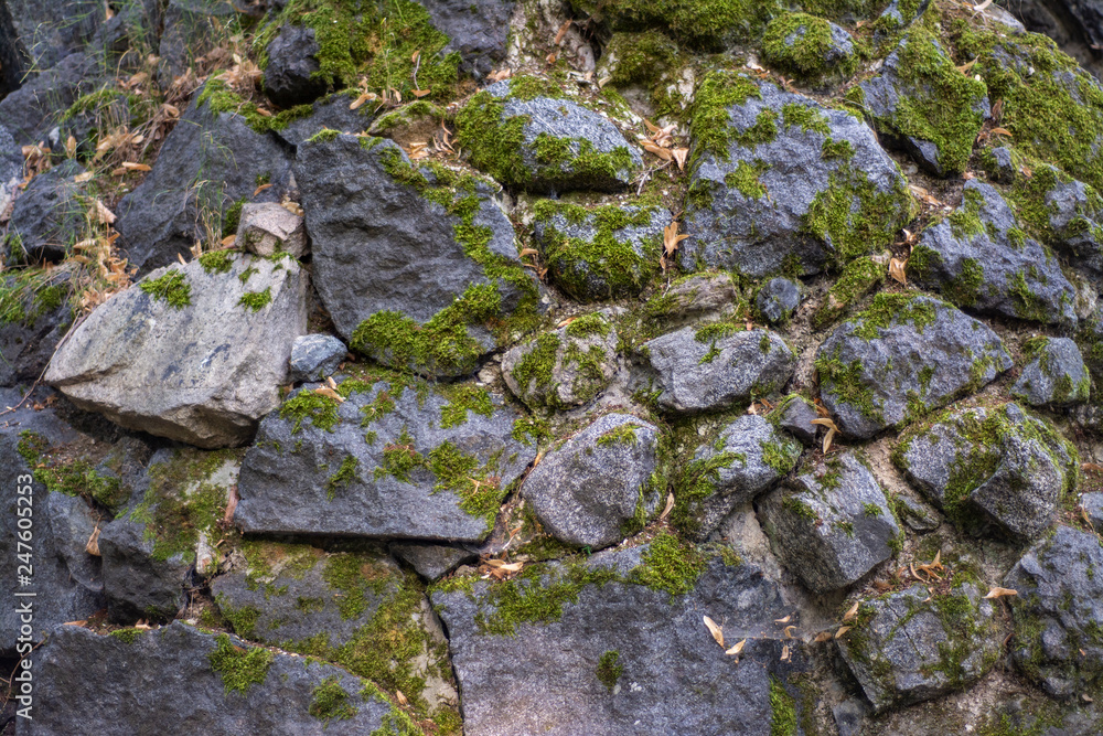 A wall of stone blocks overgrown with moss