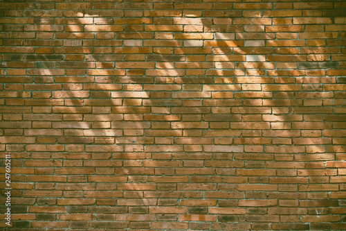 Old brick wall with sunlight on the floor.