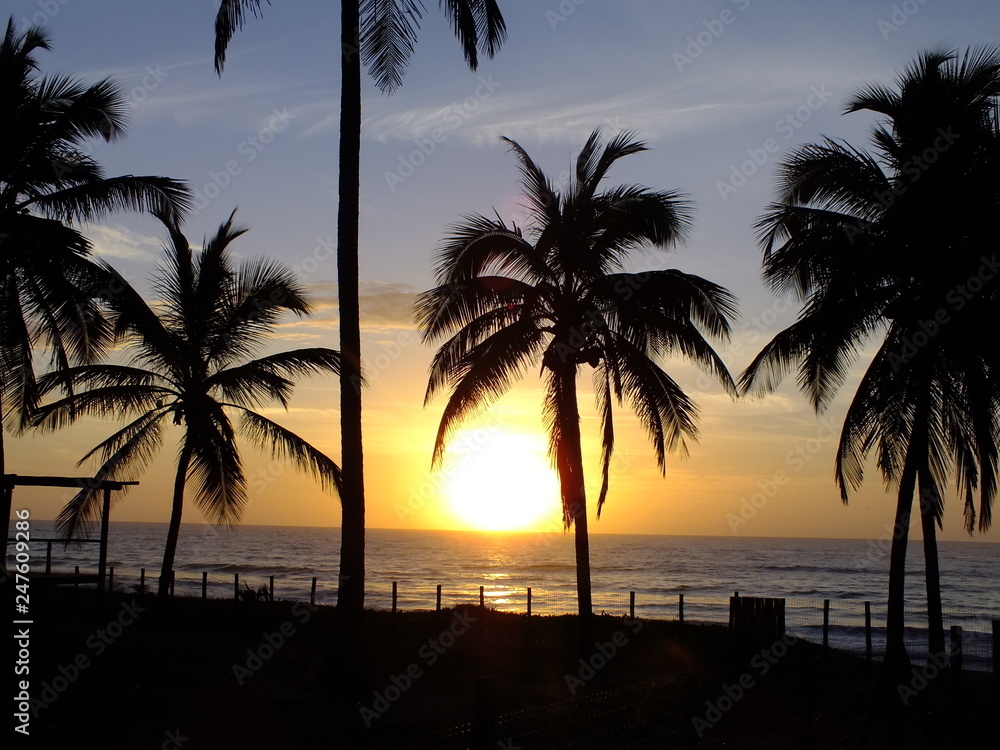 Palmen am Strand - Sonnenaufgang Brasilien