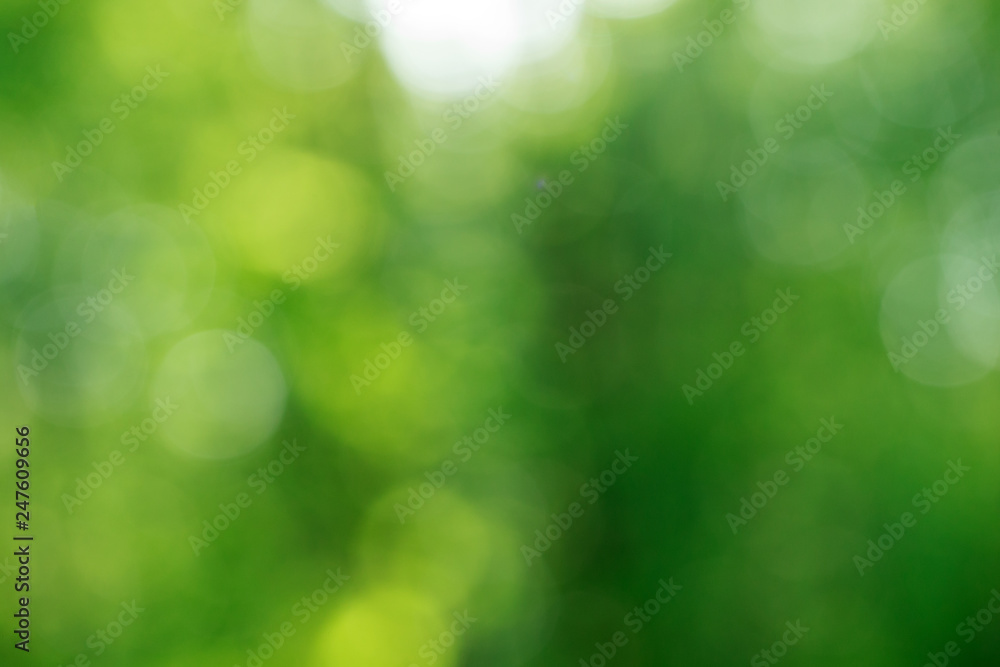 Green bokeh background from nature forest out of focus Green bokeh background from nature forest out of focus