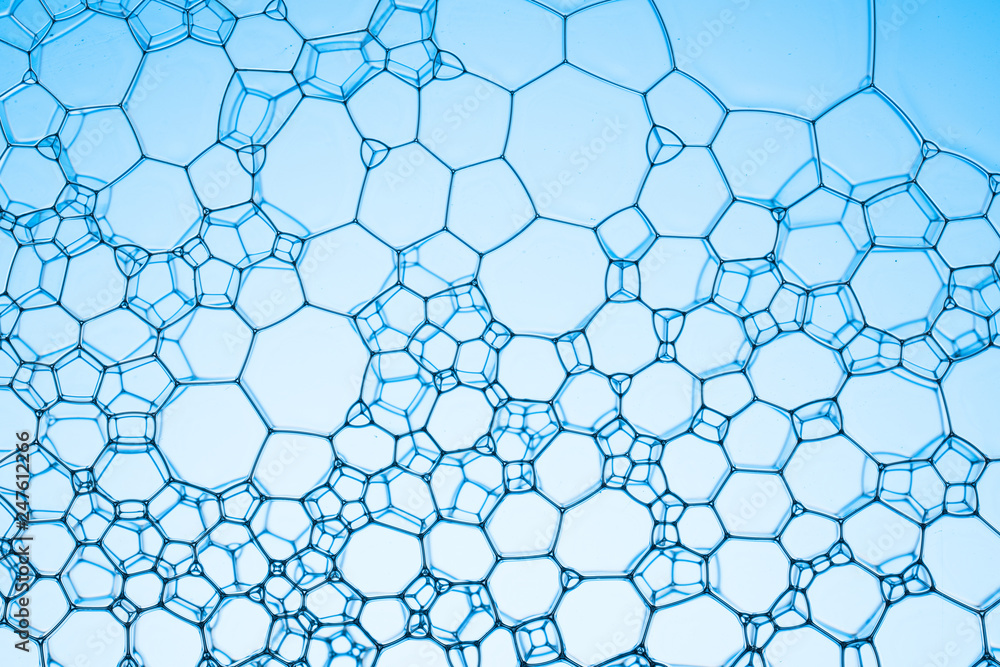 Fototapeta premium Geometric cells formed by soap bubbles and water, for background or texture