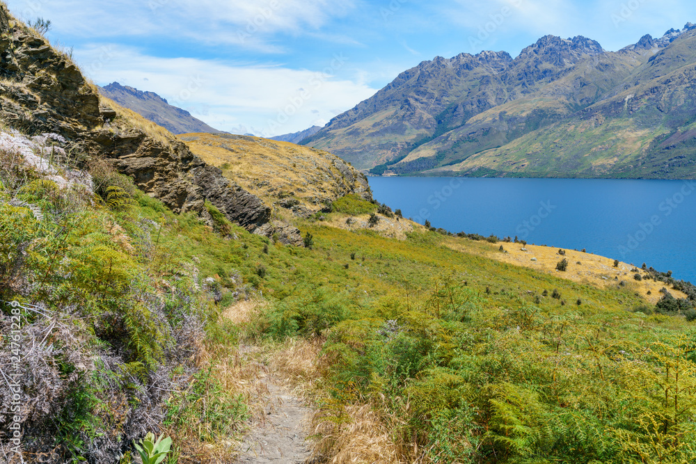 hiking jacks point track with view of lake wakatipu, queenstown, new zealand 49