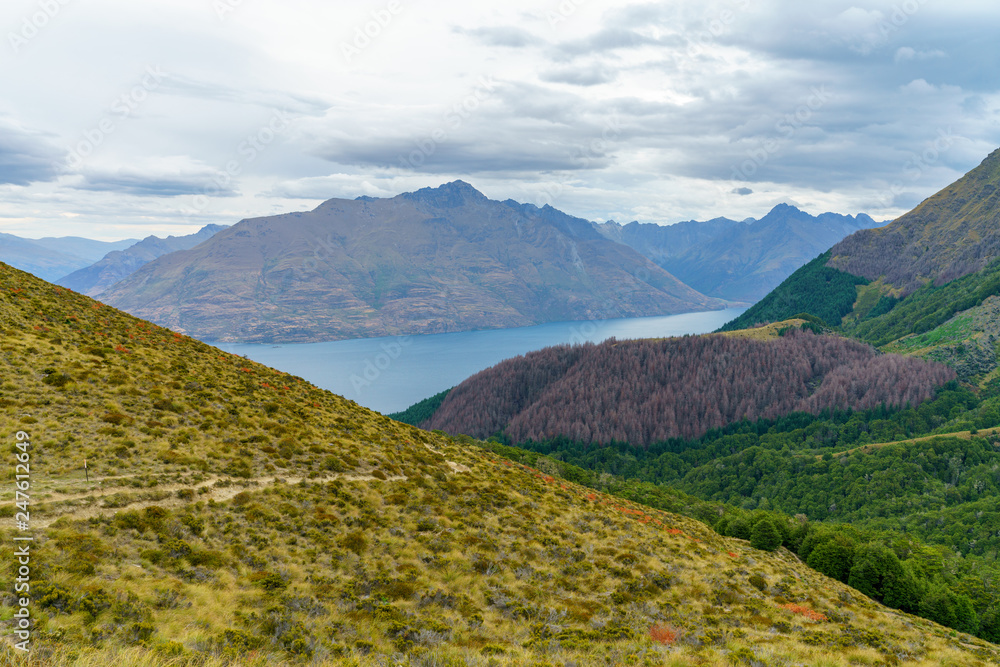 hiking the ben lomond track, view of lake wakatipu at queenstown, new zealand 4