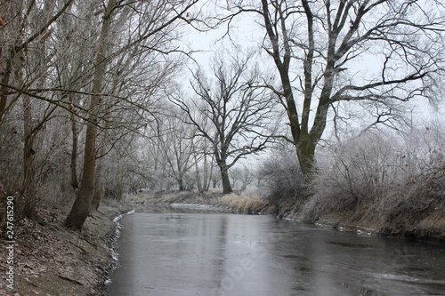 winter in the park. river landscape © Dmitriy