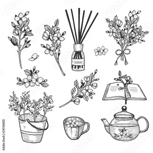 jasmine herb set