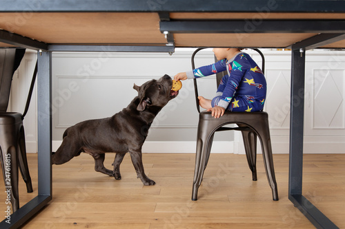 Boy gives a cookie to his dog under the table photo