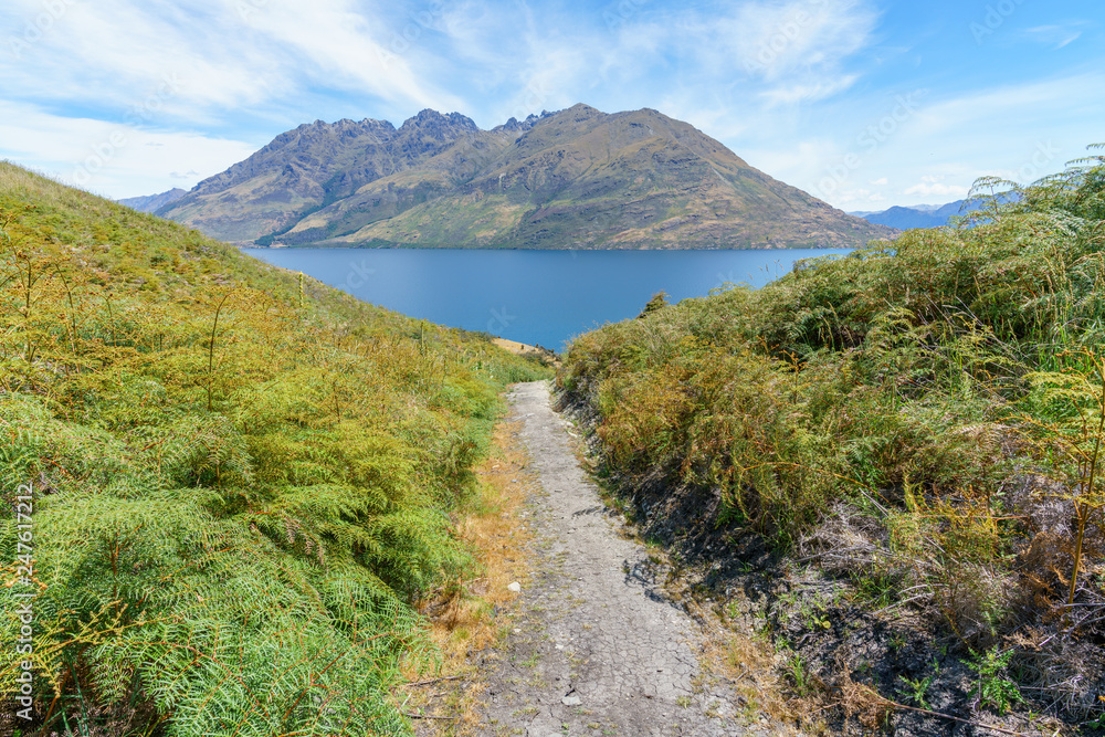 hiking jacks point track with view of lake wakatipu, queenstown, new zealand 41