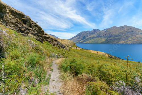 hiking jacks point track with view of lake wakatipu, queenstown, new zealand 50