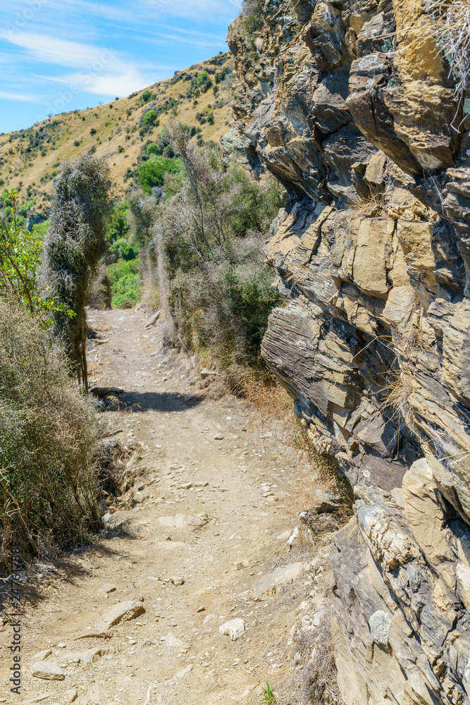 Obraz premium hiking jacks point track with view of lake wakatipu, queenstown, new zealand 62