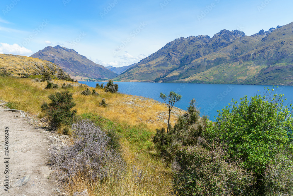 hiking jacks point track with view of lake wakatipu, queenstown, new zealand 71