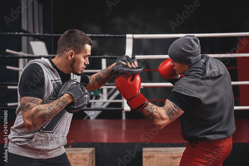 Good uppercut to the paw. Side view of muscular athlete in boxing gloves training on boxing paws while standing in boxing gym photo