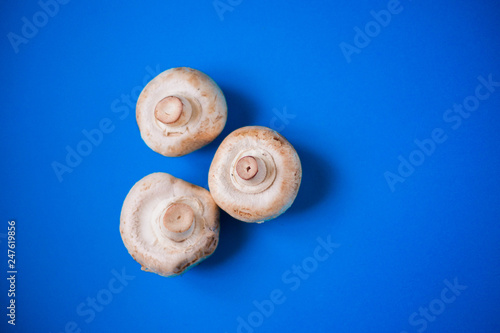 Mushrooms champignons on a blue background