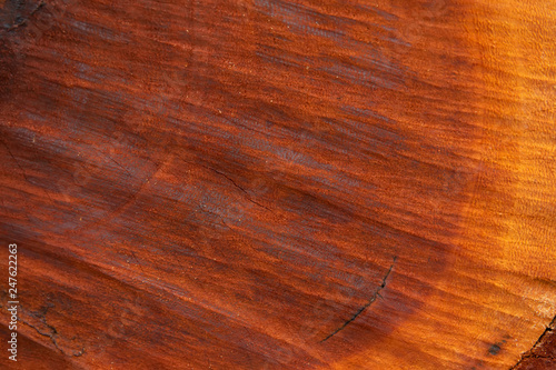 Texture of wood.